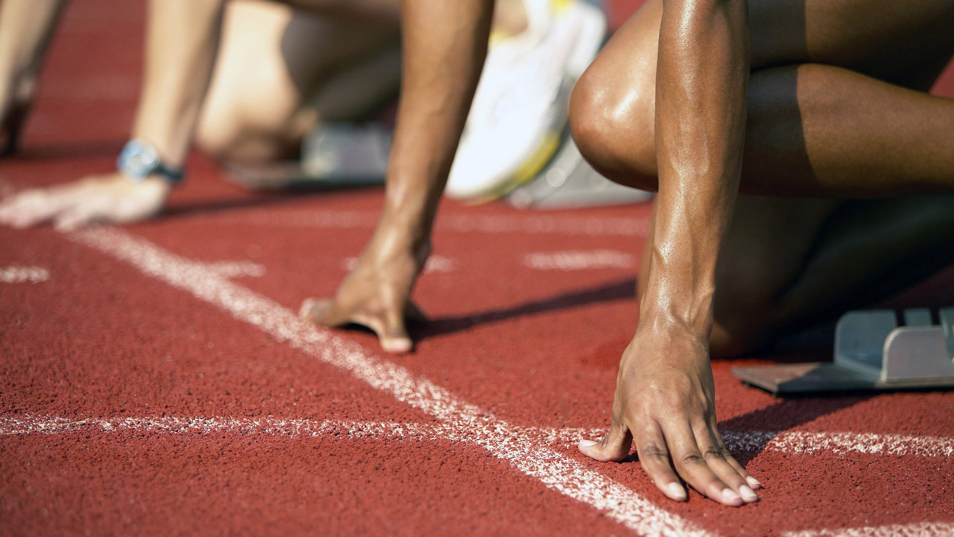 “南非羚羊队的复兴之路：萨尔·巴赫的关键作用”